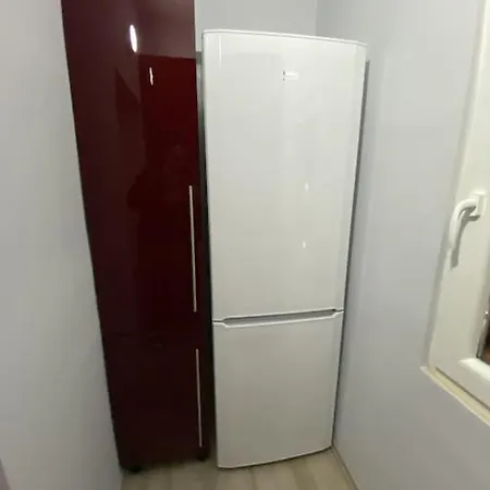 Your In טיראנה